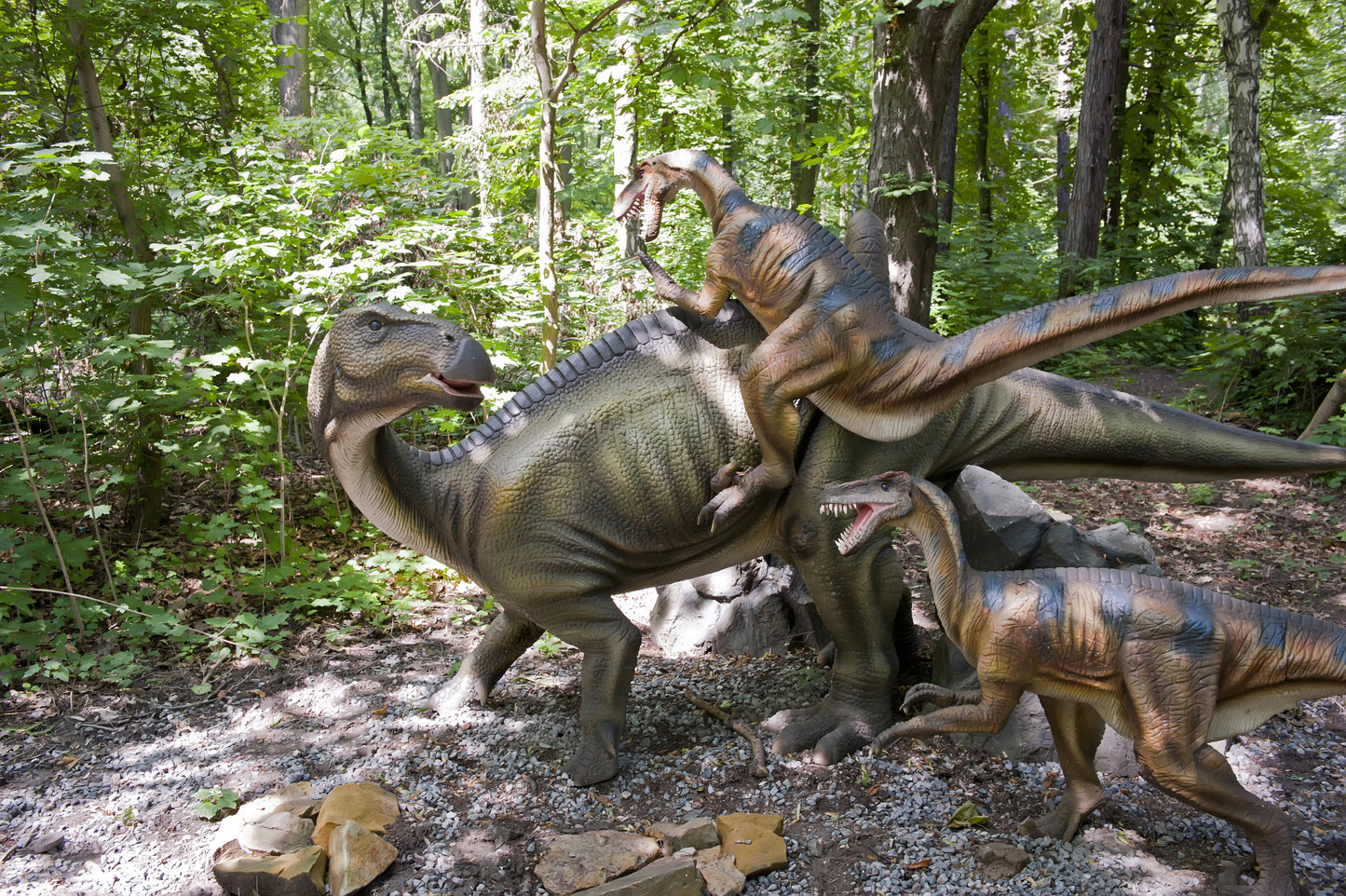 Fighting Dinosaurs Wall Mural