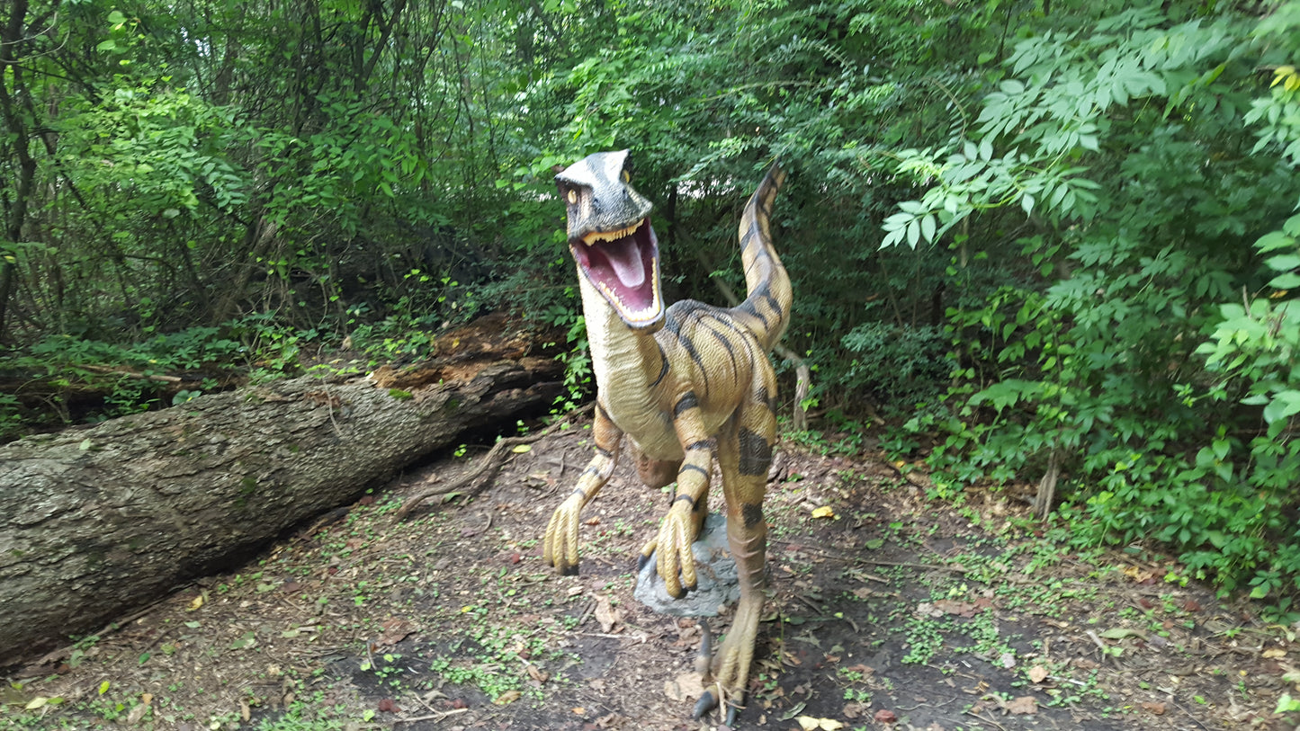 Dinosaurs Wall Mural