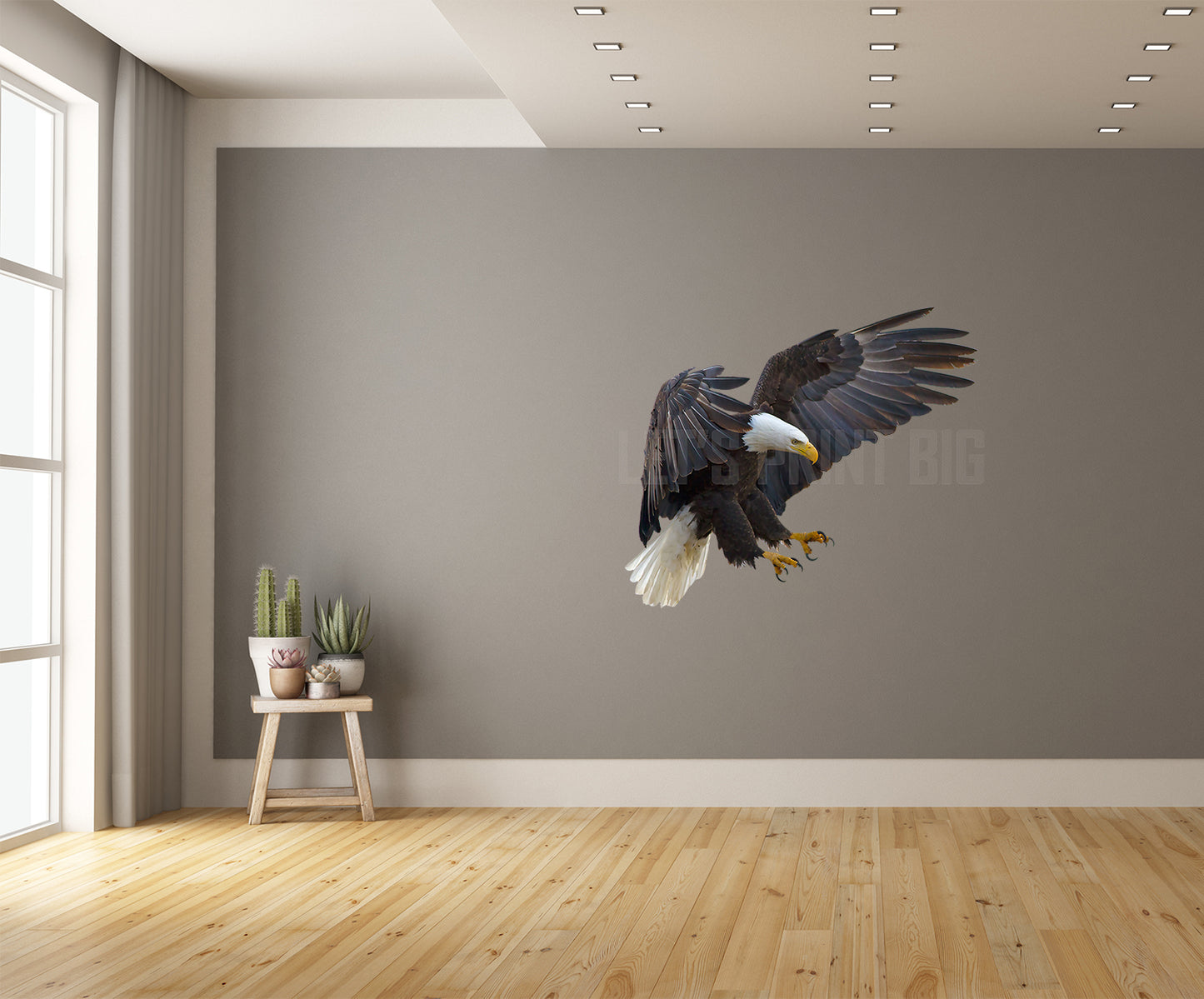 Bald Eagle 1 Large Wall Decal