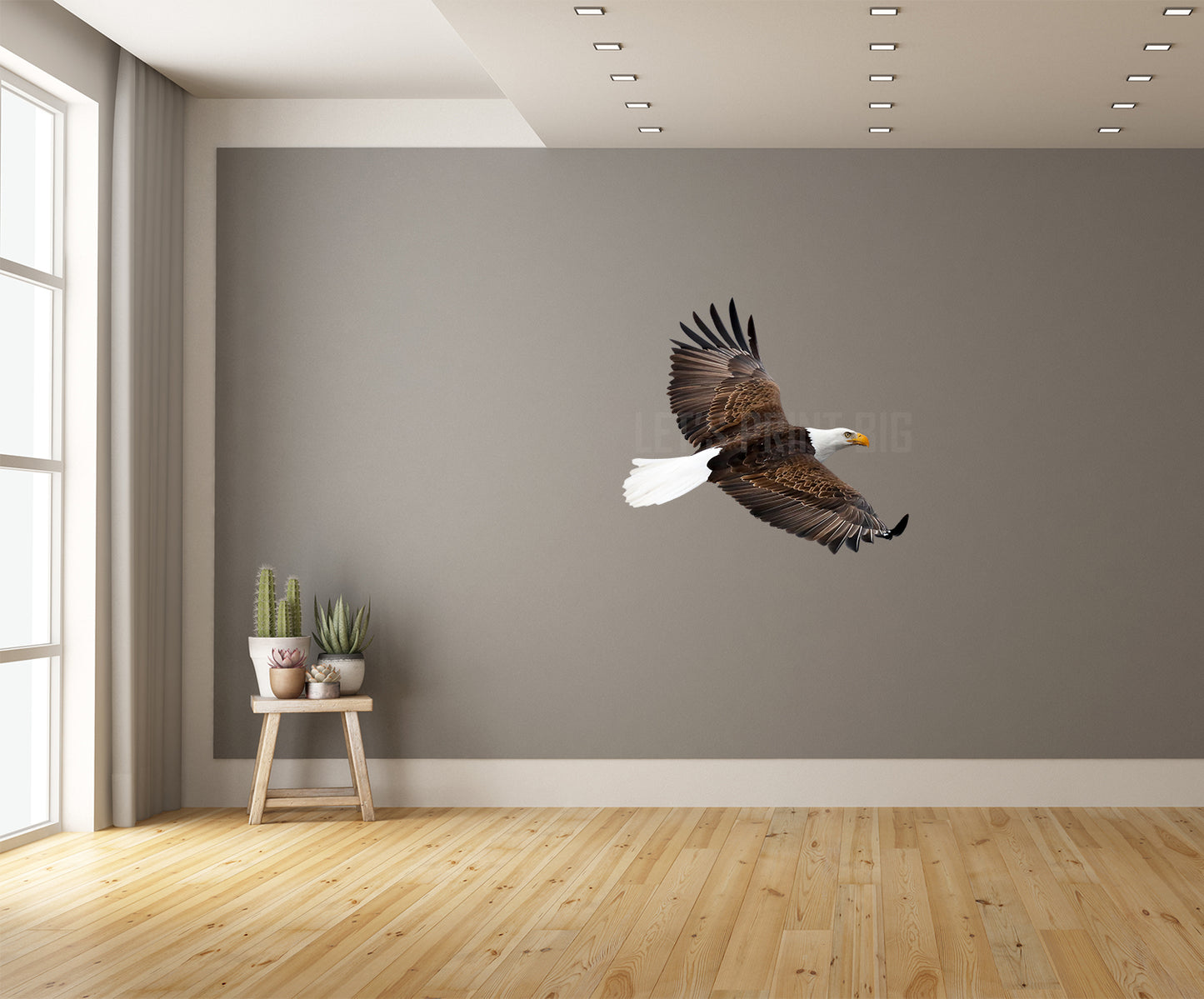 Bald Eagle 2 Reversed Large Wall Decal
