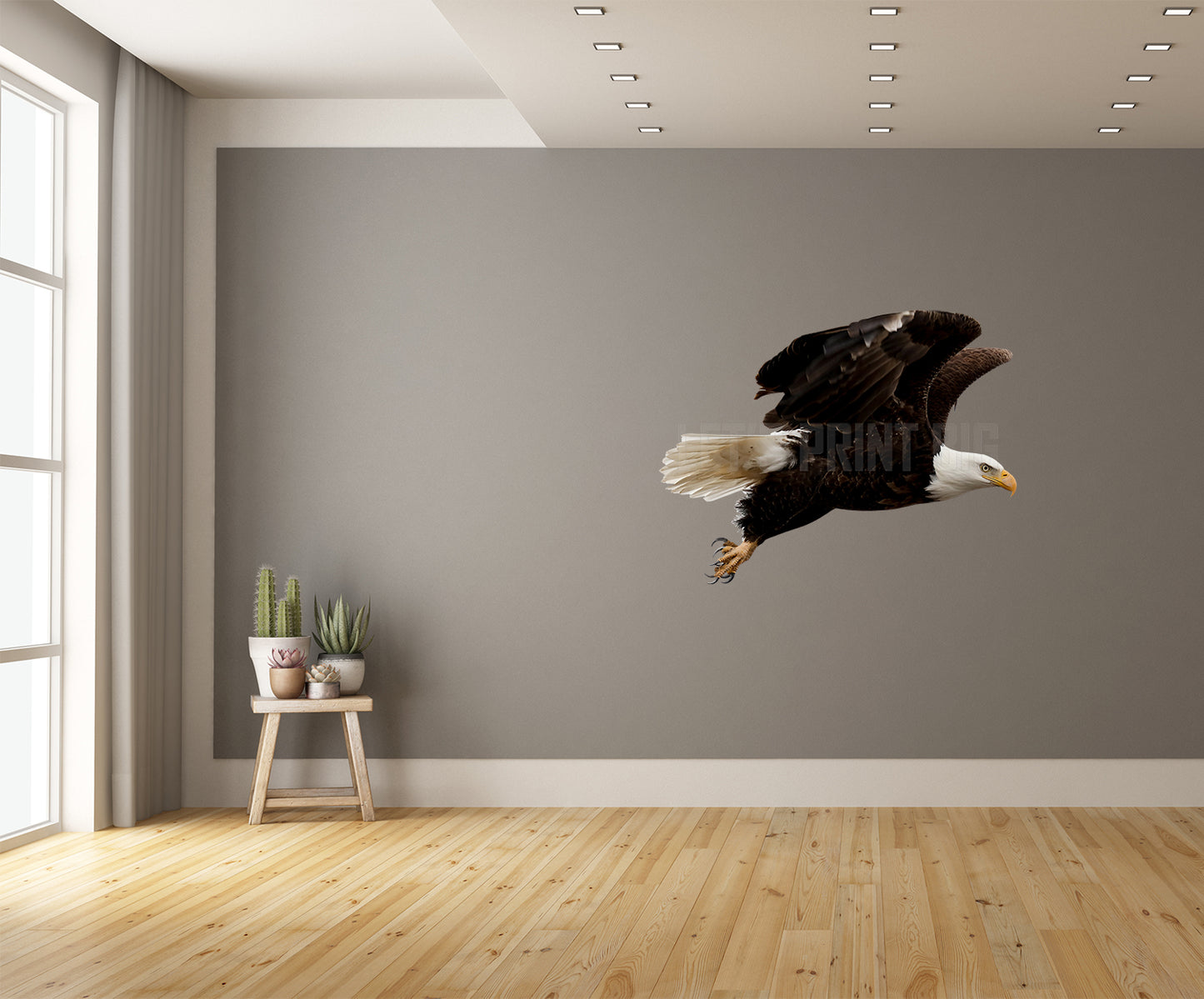 Bald Eagle 3 Large Wall Decal