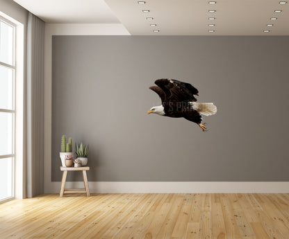 Bald Eagle 3 Reversed Large Wall Decal