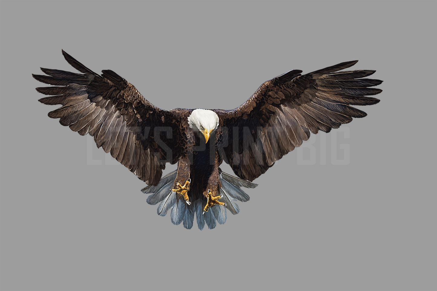 Bald Eagle 4 Reversed Large Wall Decal