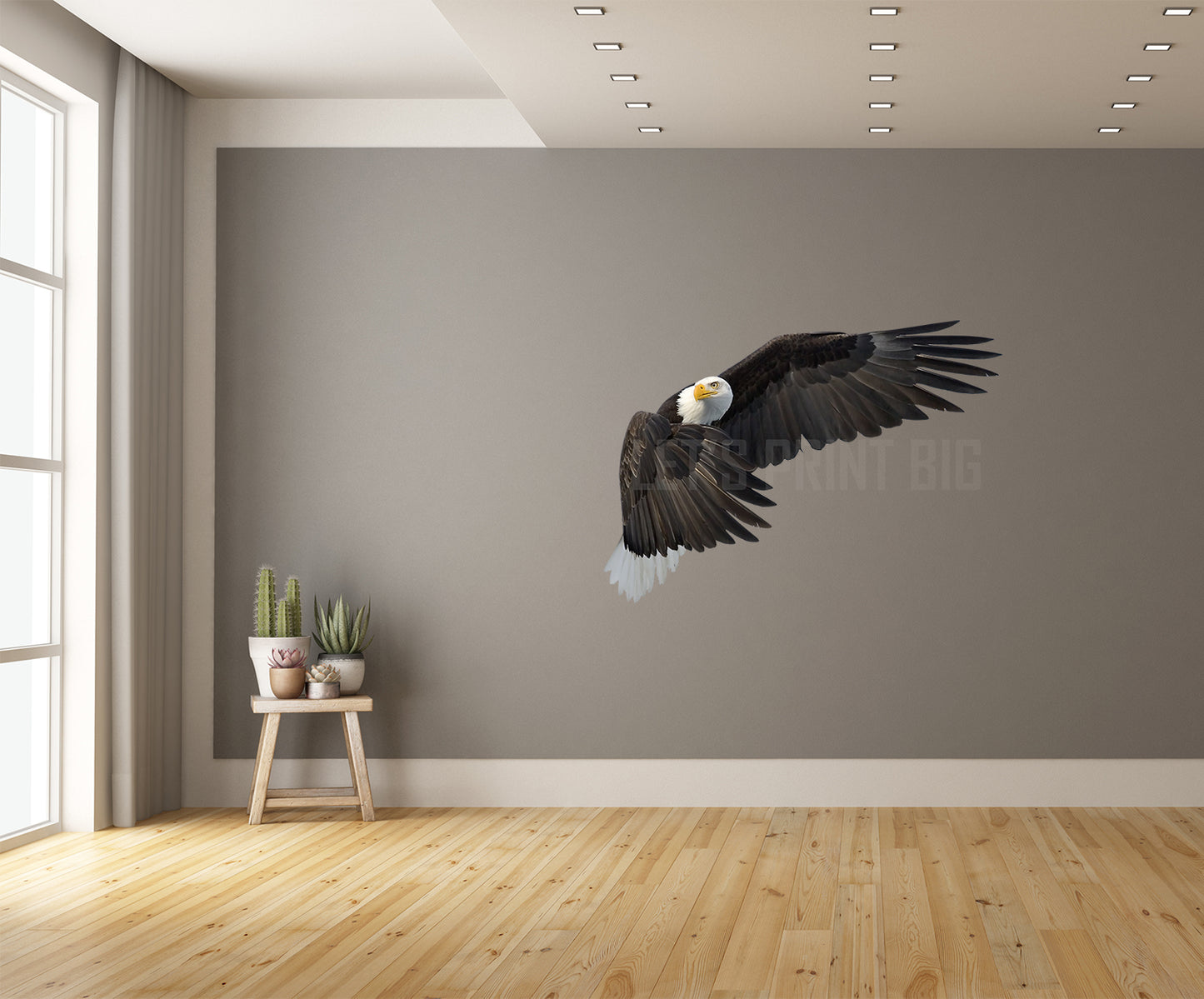 Bald Eagle 5 Reversed Large Wall Decal