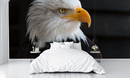 Bald Eagle Art Mural Wallpaper