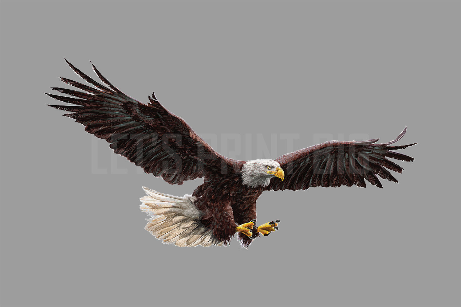 American Bald Eagle Reversed Decals of Eagles 4 sizes – Let's Print Big