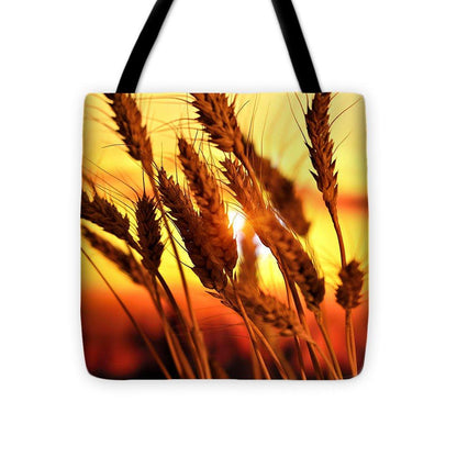 Ears Of Wheat In The Field. Evening Light - Tote Bag