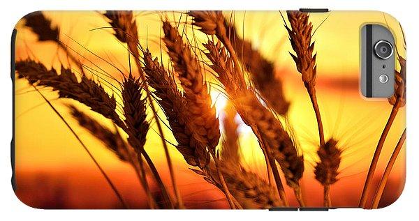 Ears Of Wheat In The Field. Evening Light - Phone Case