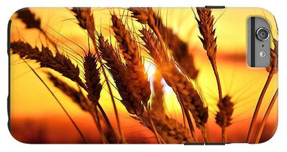 Ears Of Wheat In The Field. Evening Light - Phone Case