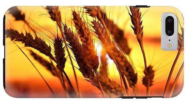 Ears Of Wheat In The Field. Evening Light - Phone Case