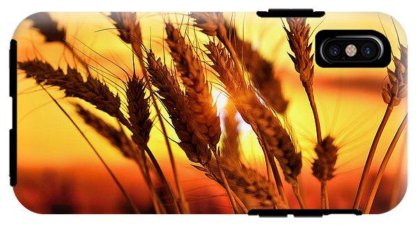 Ears Of Wheat In The Field. Evening Light - Phone Case