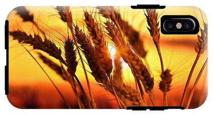 Ears Of Wheat In The Field. Evening Light - Phone Case