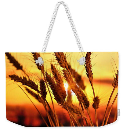 Ears Of Wheat In The Field. Evening Light - Weekender Tote Bag