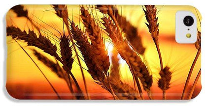 Ears Of Wheat In The Field. Evening Light - Phone Case