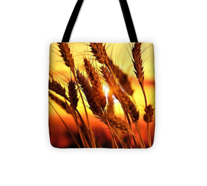 Ears Of Wheat In The Field. Evening Light - Tote Bag
