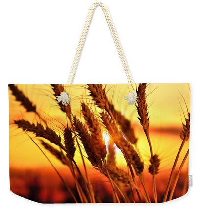 Ears Of Wheat In The Field. Evening Light - Weekender Tote Bag