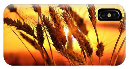 Ears Of Wheat In The Field. Evening Light - Phone Case
