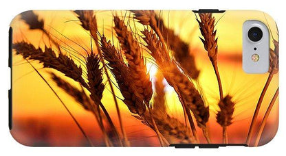 Ears Of Wheat In The Field. Evening Light - Phone Case