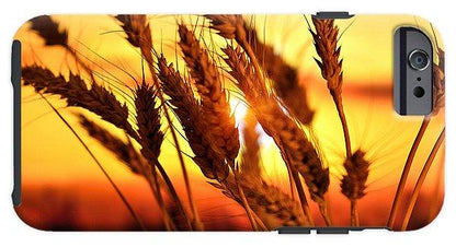 Ears Of Wheat In The Field. Evening Light - Phone Case