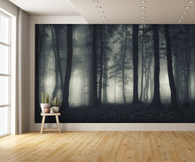 Eerie Trees Fog Scary Wallpapers Custom Designed Mural