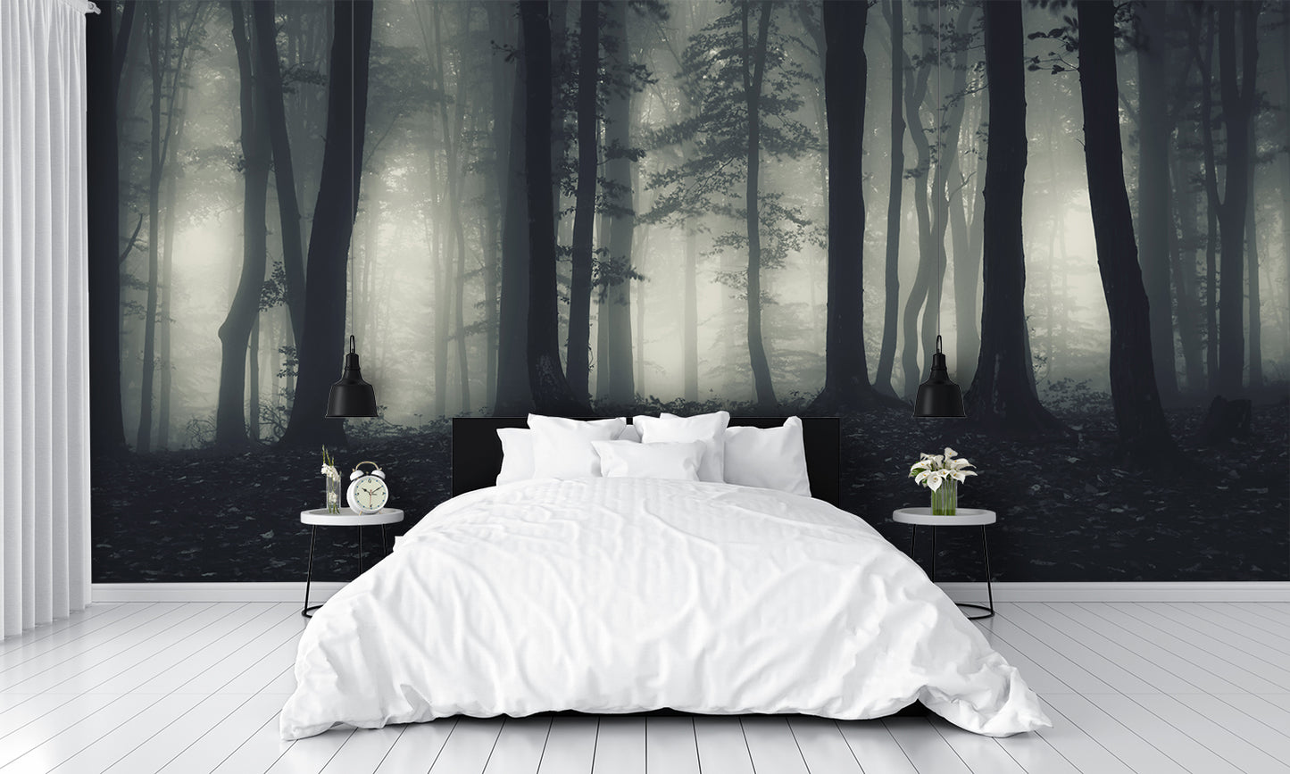 Eerie Trees Fog Scary Wallpapers Custom Designed Mural