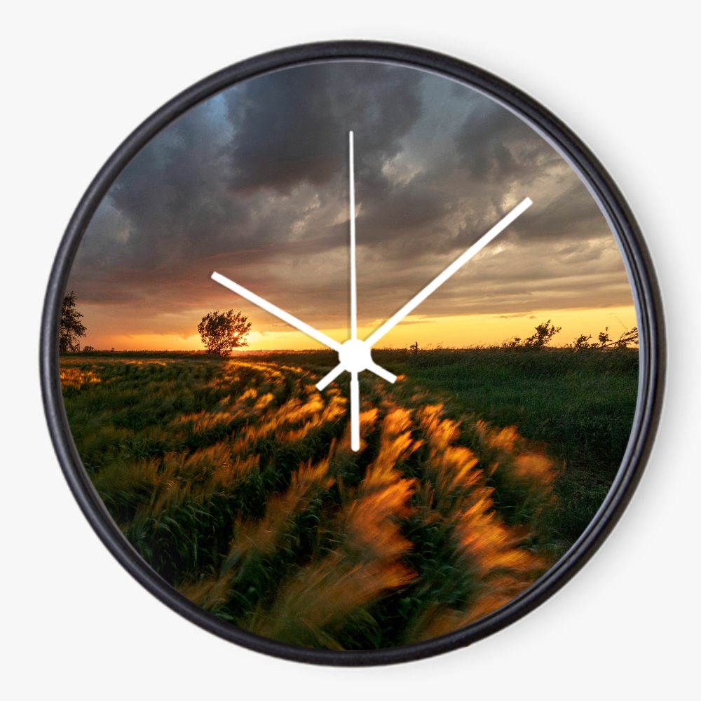 Cloudy Field Sunset 10 inch wall clock