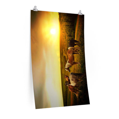 Horses in Pasture as Sunset Poster - 7 Size choices - Let's Print Big