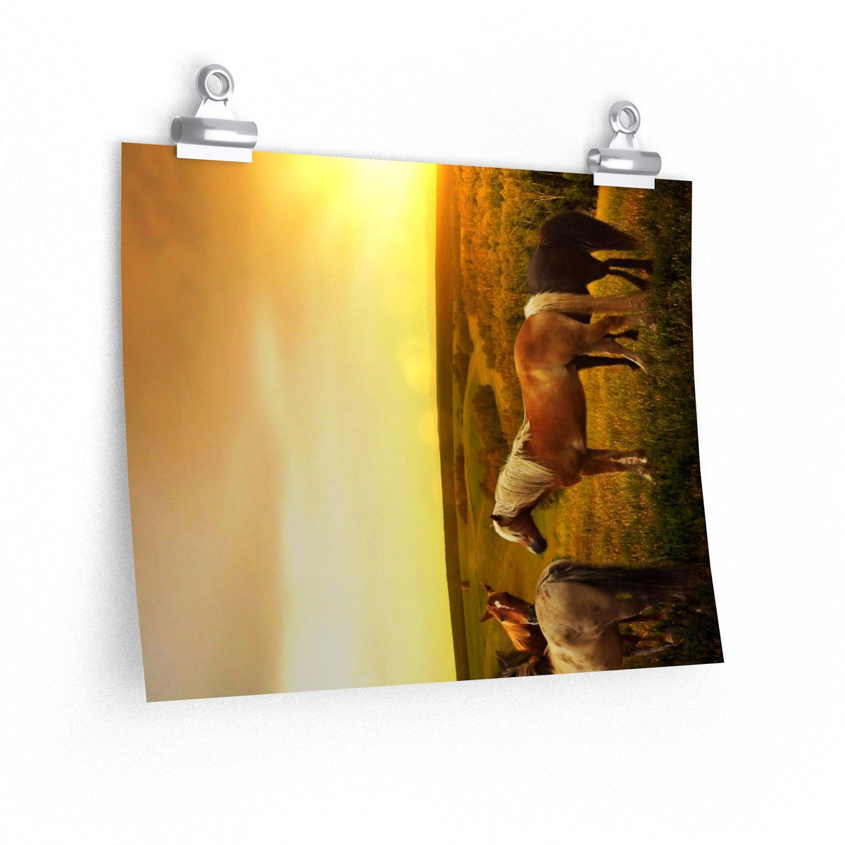 Horses in Pasture as Sunset Poster - 7 Size choices - Let's Print Big