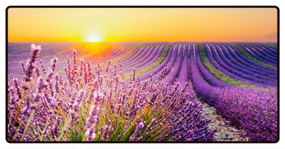 Lavender Field Sunset Desk Mat
