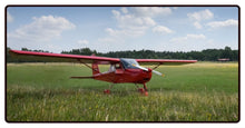 Red Plane on the Grass Desk Mat