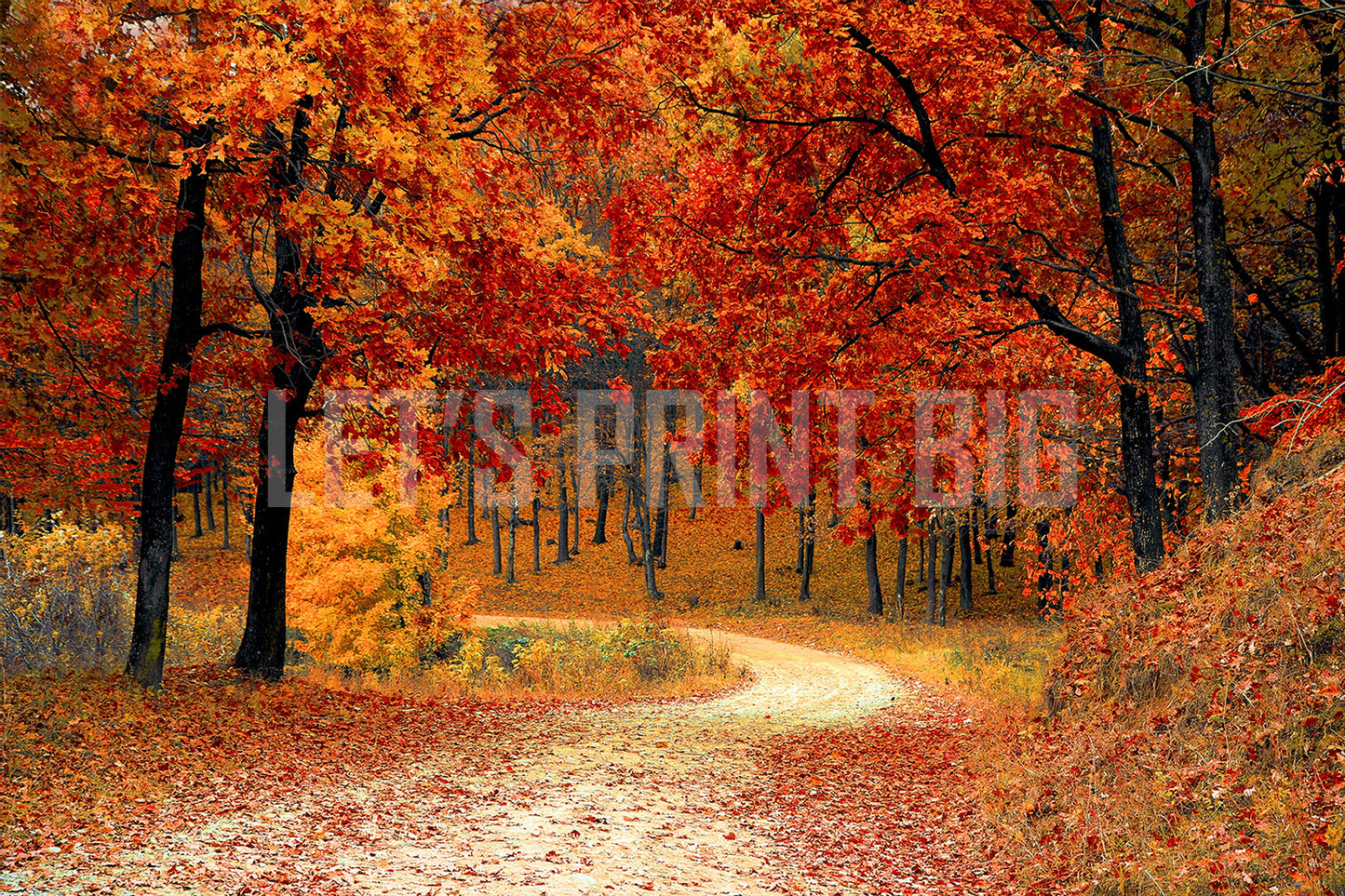 Fall Colors Leaves Custom Designed Wallpaper