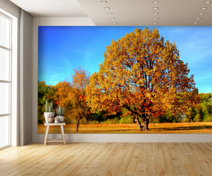 Fall Colors Leaves B Custom Designed Wallpaper