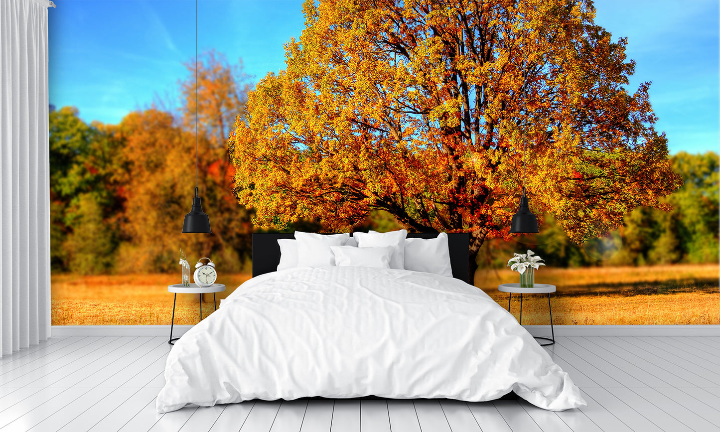 Fall Colors Leaves B Custom Designed Wallpaper