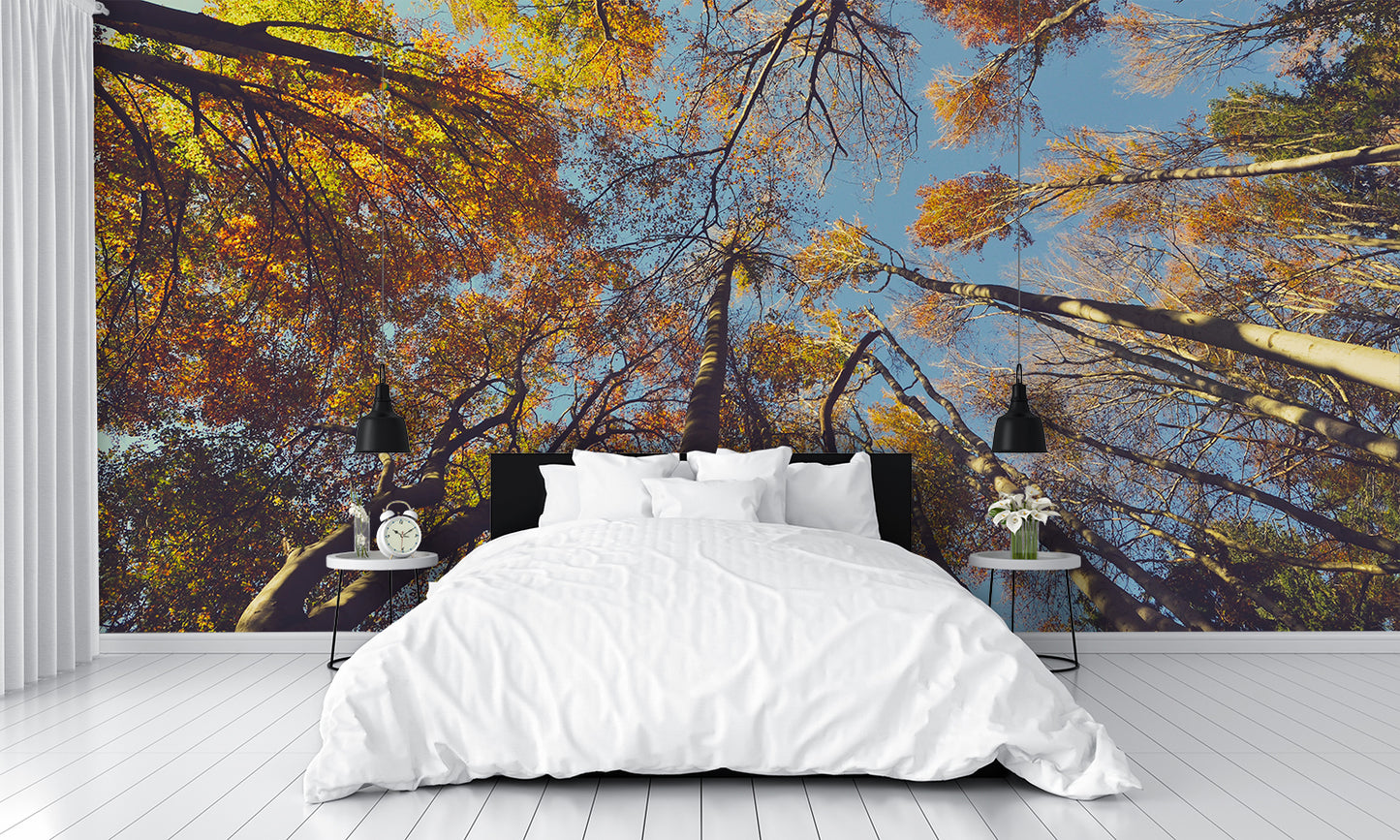Fall Colors Leaves C Custom Designed Wallpaper