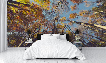 Fall Colors Leaves C Custom Designed Wallpaper