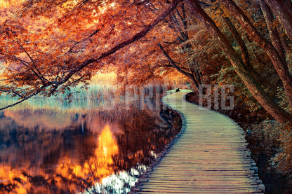 Designed Wallpaper Fall leaves wallpaper Nature Walk