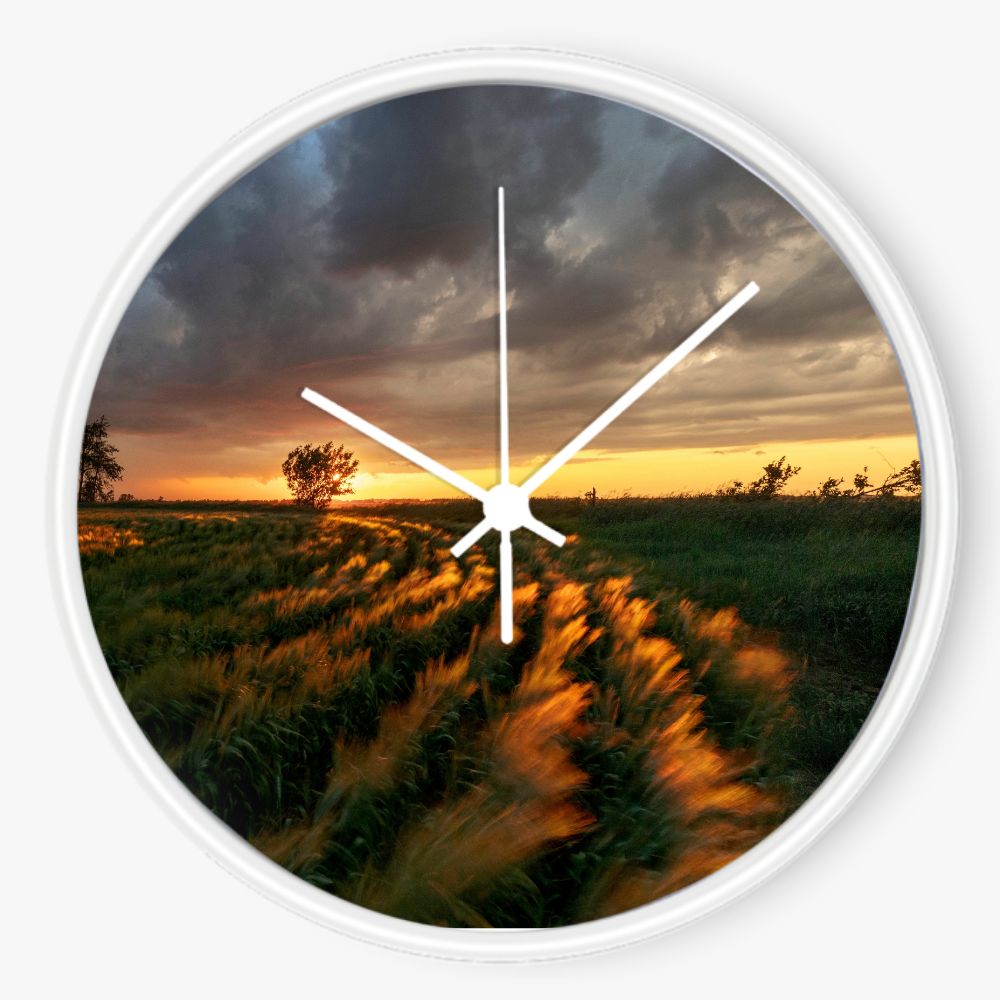 Cloudy Field Sunset 10 inch wall clock