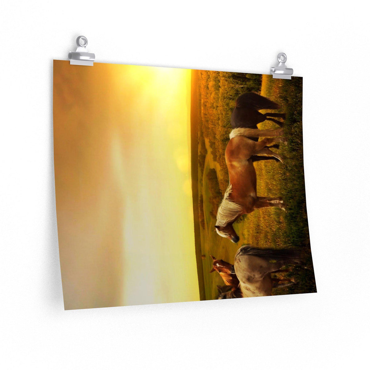 Horses in Pasture as Sunset Poster - 7 Size choices - Let's Print Big