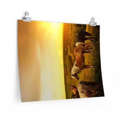 Horses in Pasture as Sunset Poster - 7 Size choices - Let's Print Big