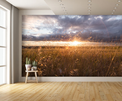 Field Landscape Mural Wallpaper