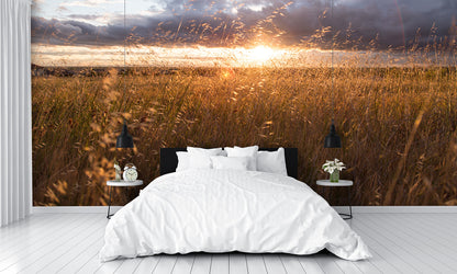 Field Landscape Mural Wallpaper