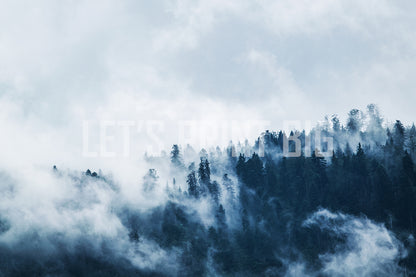 Trees in Fog Custom Designed Wallpaper
