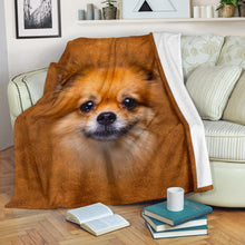 Premium Blanket Pomeranian Face Hair Blanket