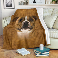 Premium Blanket Staffordshire Bull Terrier Face Hair Blanket
