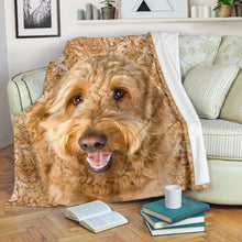Premium Blanket Goldendoodle - Blanket - 1306