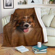 Premium Blanket Papillon Face Hair