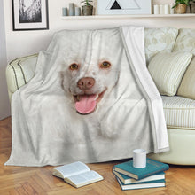 Premium Blanket Poodle Face Hair Blanket