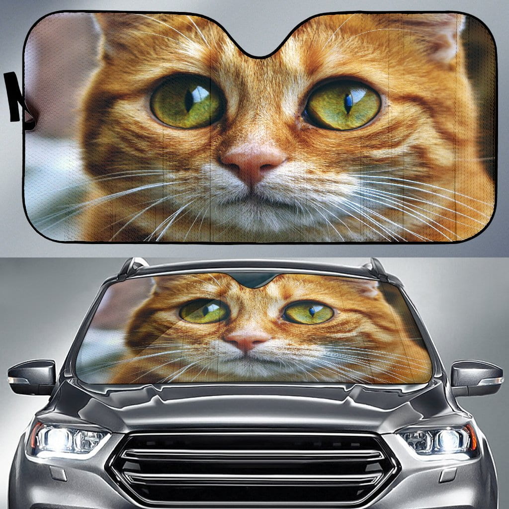 Cute kitten Auto Sun Shade