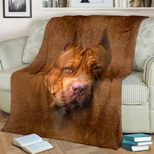 Premium Blanket American PitBull Terrier Face Hair