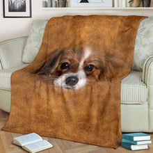 Premium Blanket PhaleÌ€ne Face Hair